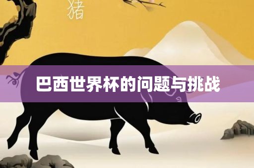 巴西世界杯的问题与挑战洪湖市顺升工程机械租赁有限公司