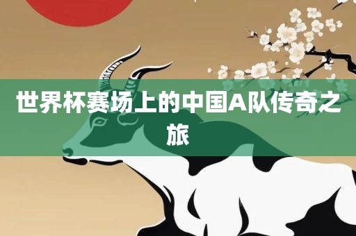 世界杯赛场上的中国洪湖市顺升工程机械租赁有限公司A队传奇之旅