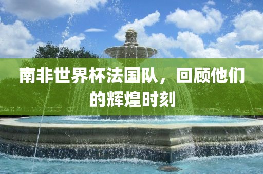 南非世界杯法国队，回顾他们的辉煌时刻