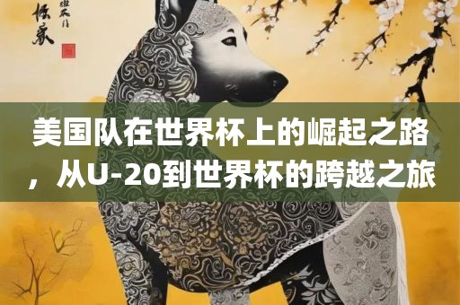 美国队在世界杯上的崛起之路，从U-20到世界杯的跨越之旅洪湖市顺升工程机械租赁有限公司