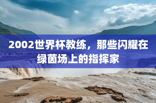 2002世界杯教练，那些闪耀在绿茵场上的指挥家洪湖市顺升工程机械租赁有限公司