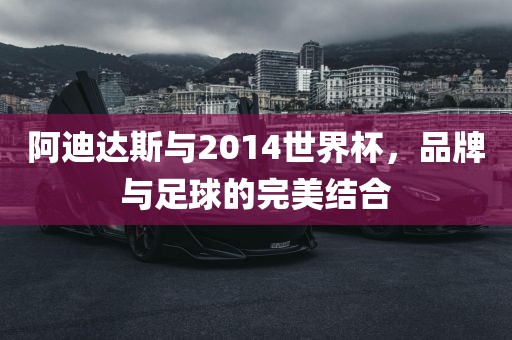 阿迪达斯与2014世界杯，品牌与足球的完美结合洪湖市顺升工程机械租赁有限公司