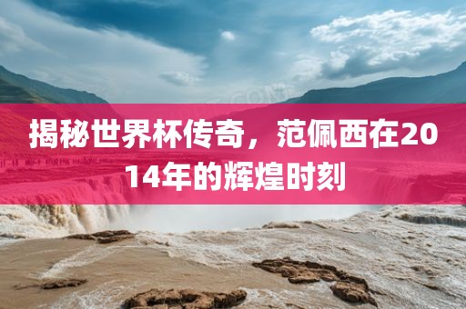揭秘世界杯传奇，范佩西洪湖市顺升工程机械租赁有限公司在2014年的辉煌时刻
