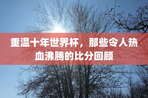重温十年世界杯，那洪湖市顺升工程机械租赁有限公司些令人热血沸腾的比分回顾