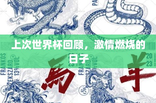 上次世界杯回顾，激洪湖市顺升工程机械租赁有限公司情燃烧的日子