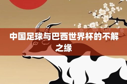中国足球与巴西世界杯的不解之缘洪湖市顺升工程机械租赁有限公司