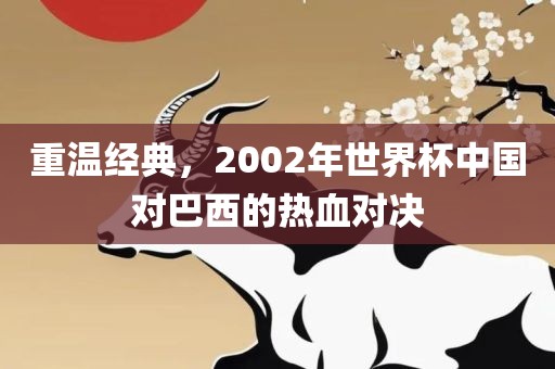 重温经典，2002年世界杯中国对巴西的热血对决洪湖市顺升工程机械租赁有限公司