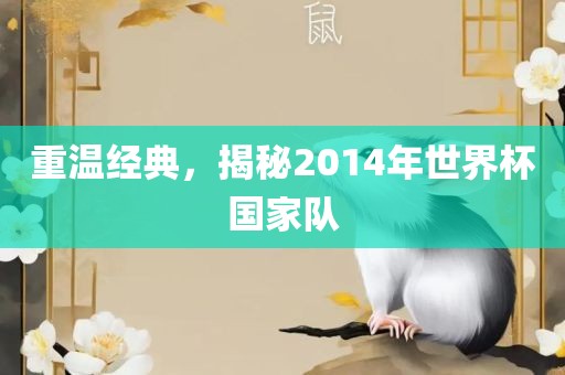 重温经典，揭秘2014年世界杯国家队洪湖市顺升工程机械租赁有限公司