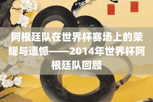 阿根廷队在世界杯赛场上的荣耀与遗憾——2014年世界杯阿根廷队回顾