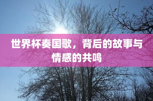 世界杯奏国歌，背后的故事与情感的共鸣洪湖市顺升工程机械租赁有限公司