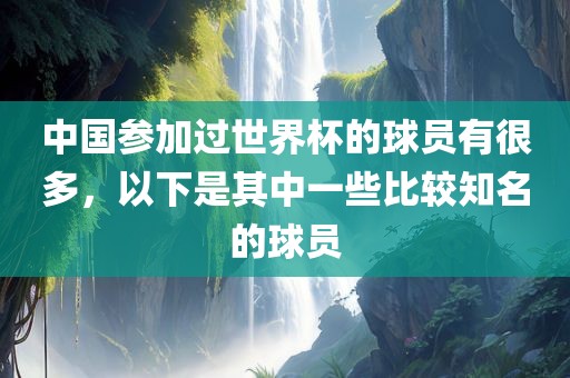 中国参加过世界杯的球员有很多，以下是其中一些比较知名的球员