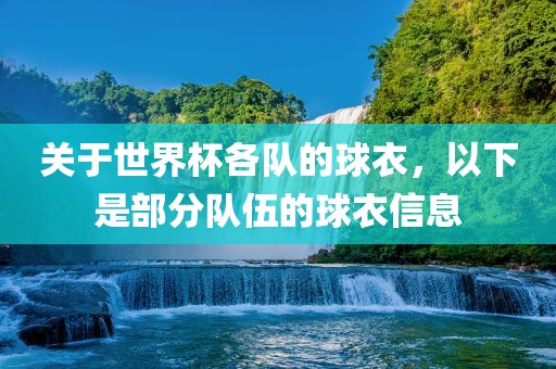 关于世界杯各队的球衣，以下是部分队伍的球衣信息洪湖市顺升工程机械租赁有限公司