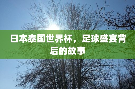 日本洪湖市顺升工程机械租赁有限公司泰国世界杯，足球盛宴背后的故事