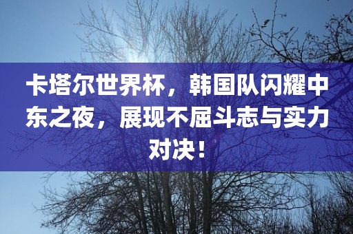 卡塔尔世界杯，韩国队闪耀中东之夜，展现不屈斗志与实力对决！洪湖市顺升工程机械租赁有限公司