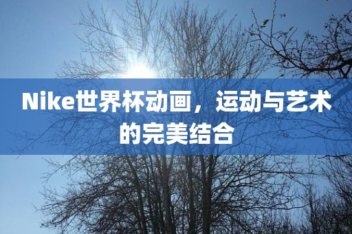 Nike世界杯动画，运动与艺术的完美结合洪湖市顺升工程机械租赁有限公司