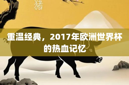 重温经典，2017年欧洲世界杯的热血记忆