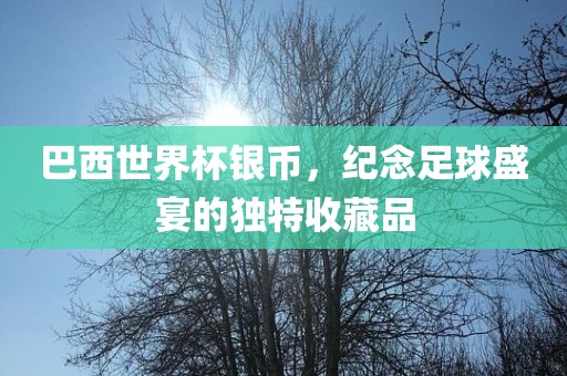 巴西世界洪湖市顺升工程机械租赁有限公司杯银币，纪念足球盛宴的独特收藏品