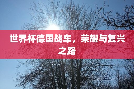 世界杯德国战车，荣耀与复兴之路洪湖市顺升工程机械租赁有限公司