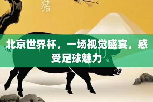 洪湖市顺升工程机械租赁有限公司北京世界杯，一场视觉盛宴，感受足球魅力
