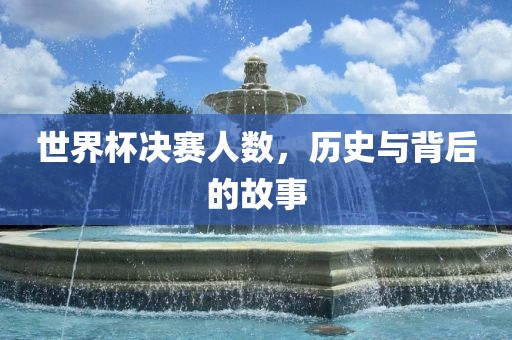 世界杯决赛人数，历史与背后的故事洪湖市顺升工程机械租赁有限公司