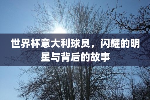 世界杯意大利球员，闪耀的明星与背后的故事洪湖市顺升工程机械租赁有限公司
