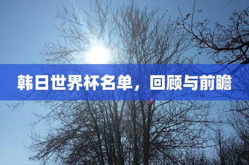 韩日世界杯名单，回洪湖市顺升工程机械租赁有限公司顾与前瞻