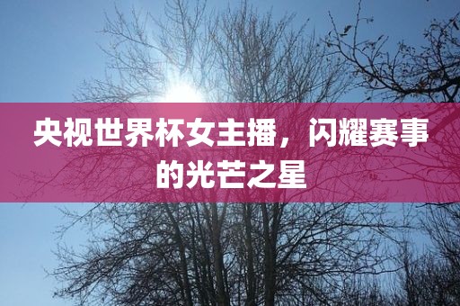 央视世界杯女主播，闪耀赛事的光芒之星洪湖市顺升工程机械租赁有限公司