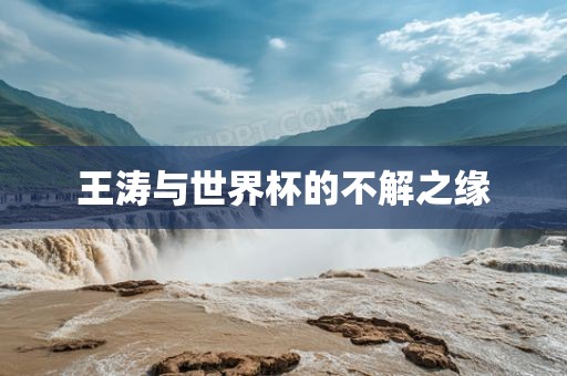 王涛与世界杯的洪湖市顺升工程机械租赁有限公司不解之缘