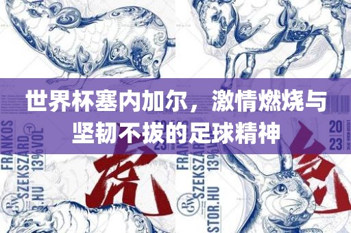 世界杯塞内加尔，激情燃烧与坚韧不拔的足球精神