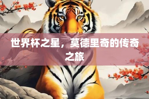 世界杯之星，莫德里奇的传奇之旅洪湖市顺升工程机械租赁有限公司