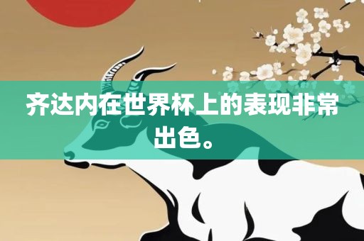 齐达内在世界杯上的表现非常出色。洪湖市顺升工程机械租赁有限公司