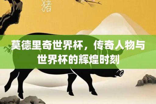 莫德里奇世界杯，传奇人物与世界杯的辉煌时刻