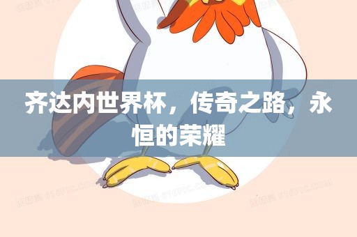 齐达内世界杯，传奇之路，永恒的荣耀