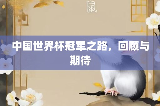 中国世界杯冠军之路，回顾与期待