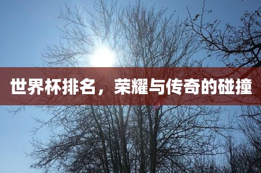 世界杯排名，荣耀与传奇的碰撞洪湖市顺升工程机械租赁有限公司
