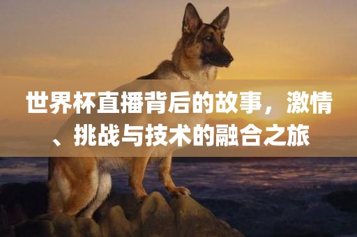 洪湖市顺升工程机械租赁有限公司世界杯直播背后的故事，激情、挑战与技术的融合之旅