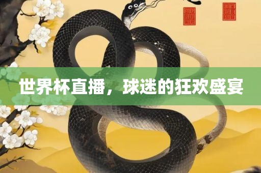 世界杯直播，球迷的狂欢盛宴洪湖市顺升工程机械租赁有限公司