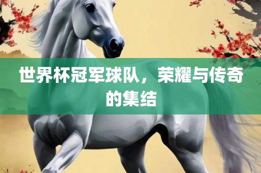 世界杯冠军球队，荣耀与传奇的集结