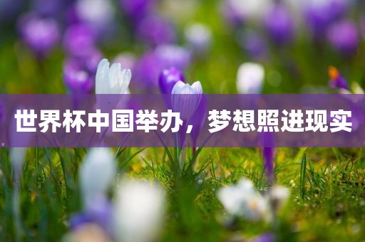 世界杯中国举办，梦想照进现实