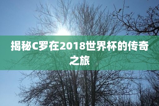 揭秘C罗在2018世界杯的传奇之旅洪湖市顺升工程机械租赁有限公司