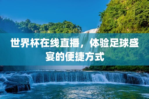 世界杯在线直播，体验足球盛宴的便捷方式