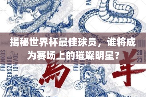 揭秘世界杯最佳球员，谁将成为赛场上的璀璨明星？洪湖市顺升工程机械租赁有限公司