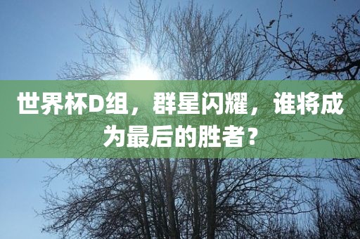 世界杯D组，群星闪耀，谁将成为最后的胜者？