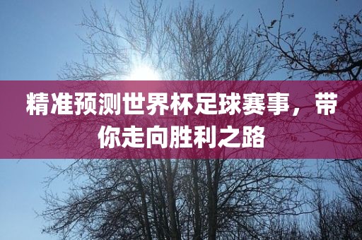 精准预测世界杯足球赛事，带你走向胜利之路