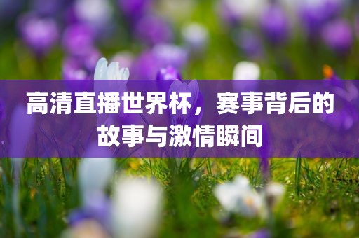 高清直播世界杯，赛事背后的故事与激情瞬间