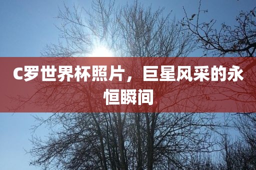 C罗世界杯照片，巨星风采的永恒瞬间洪湖市顺升工程机械租赁有限公司