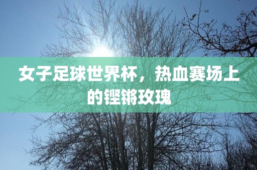 女子足球世界杯，热血赛场上的铿锵玫瑰洪湖市顺升工程机械租赁有限公司