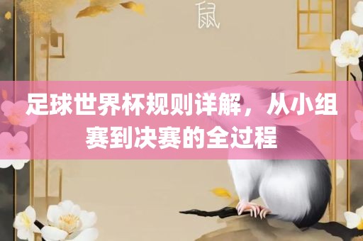 足球世界杯规则详解，从小组赛到决赛的全过程