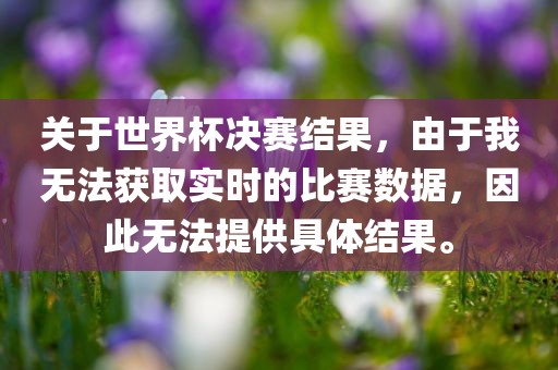 关于世界杯决赛结果，由于我无法获取实时的比赛数据，因此无法提供具体结果。