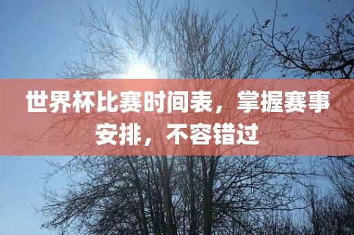 世界杯比赛时间表，掌握赛事安排，不容错过